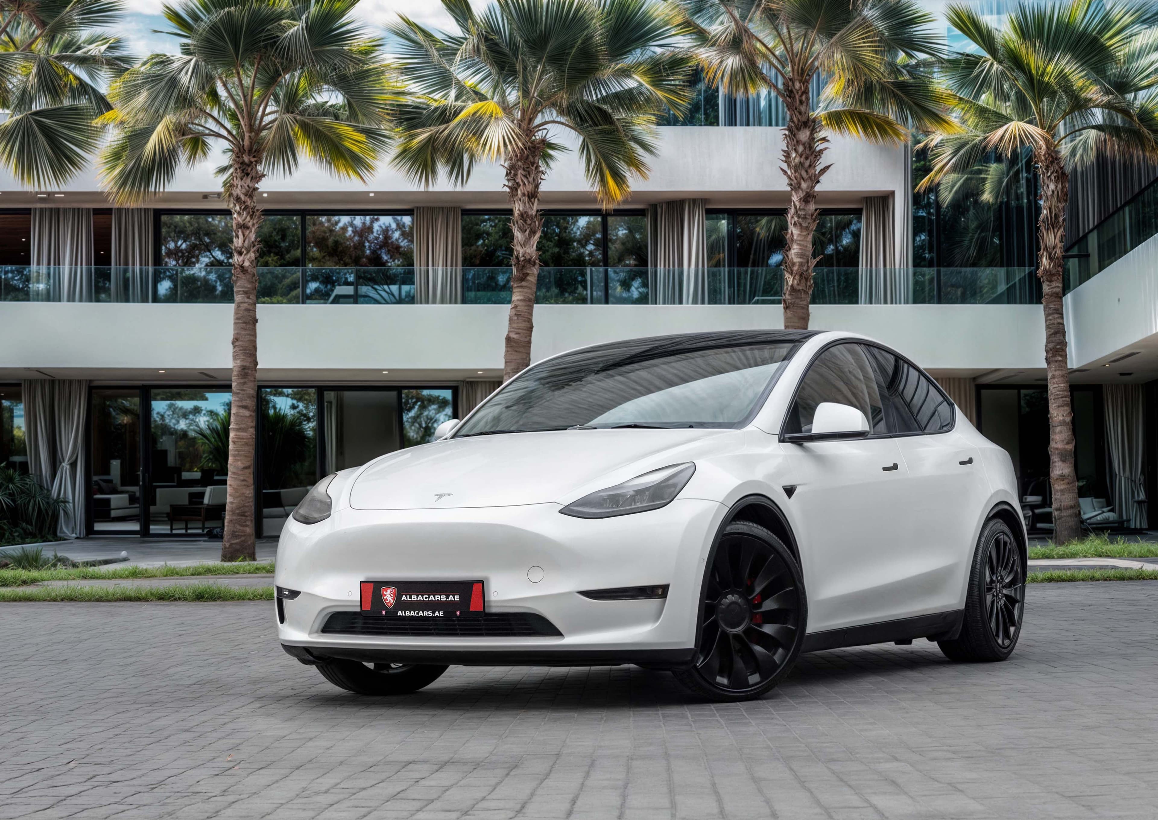 Tesla Model Y Performance