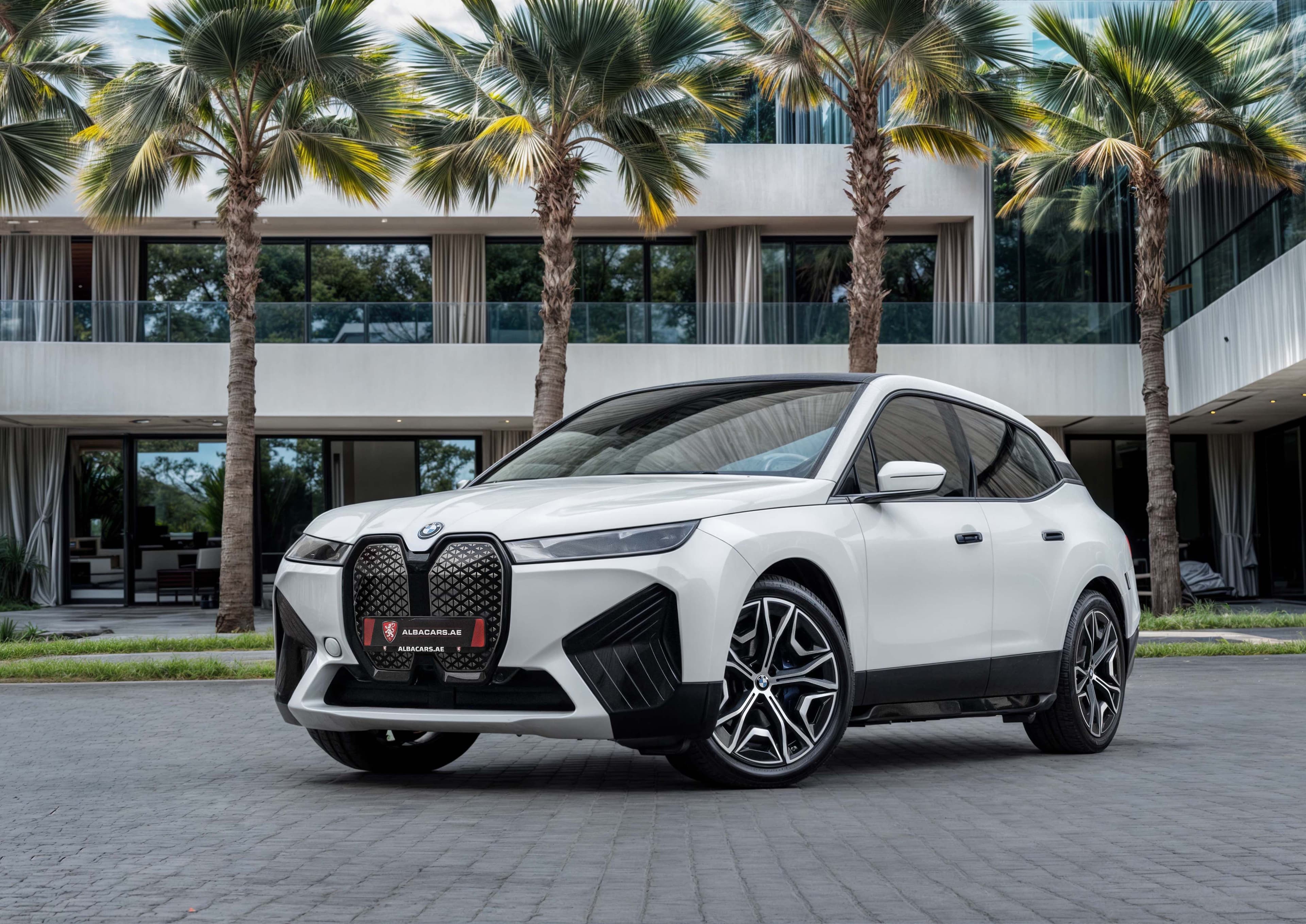 BMW IX xDrive40 Masterclass